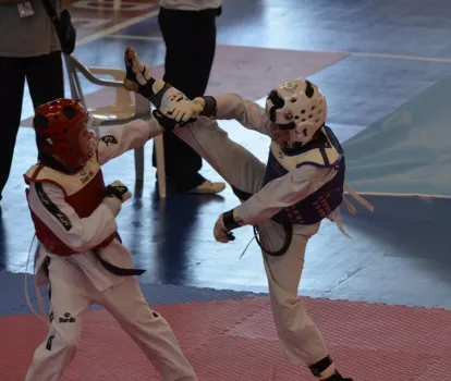 cr_taekwondo_9.jpg