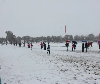 provincial sonseca 1