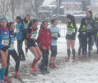 provincial sonseca 2