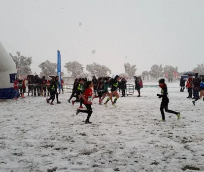 provincial sonseca 3