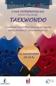 Cartel I Fase Interprovincial Taekwondo