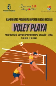VOLEY PLAYA