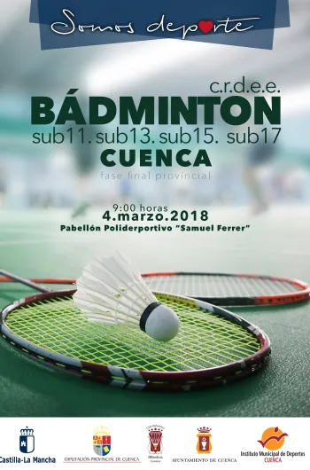 CRDEE - Fase Provincial de Bádminton